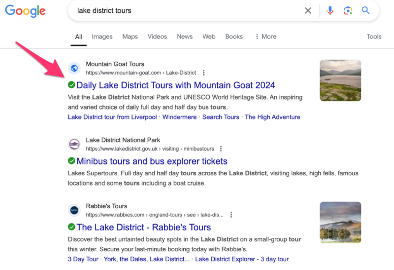 travel SEO case study position 1